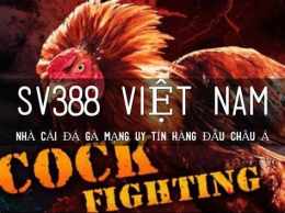 giao diện app đá gà ssv388