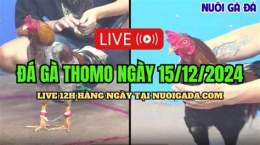 giao diện app da ga thomo 15 7 c1