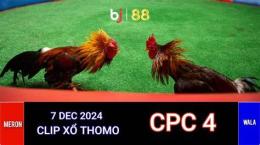 giao diện app đá gà thomo 24 12