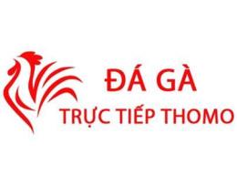 giao diện app da ga thomo 25/12/2022