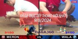 giao diện app đá gà thomo 26 4