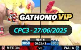 giao diện app da ga thomo 27 10 cpc3