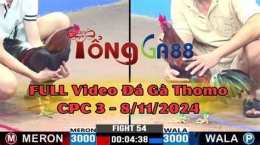 giao diện app da ga thomo 8 7 2022