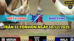 giao diện app đá gà thomo bảo sting chồng độ