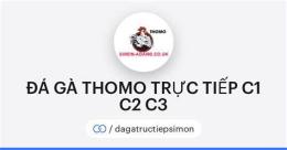 giao diện app đá gà thomo c2 ngày 22 tháng 12