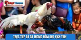 giao diện app đá gà thomo c4 hôm qua
