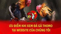 giao diện app đá gà thomo gà xanh mông trích