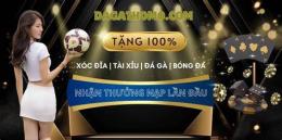giao diện app đá gà thomo giới thiệu