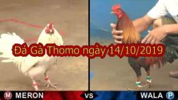 giao diện app đá gà thomo ngày 14/5