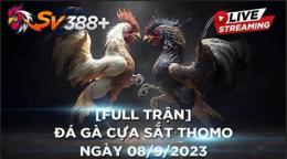 giao diện app đá gà thomo ngày 20 tháng 12