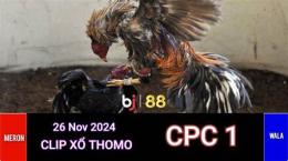 giao diện app đá gà thomo ngày 26 tháng 11