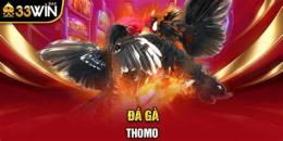giao diện app da ga thomo win