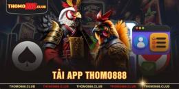 giao diện app đá gà thomo888