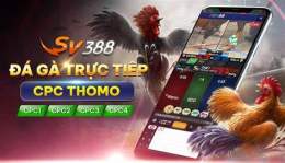 giao diện app đá gà tre casino