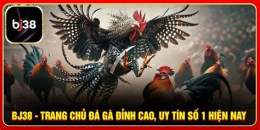 giao diện app đá gà trên gò trực tiếp