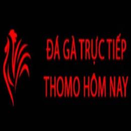 giao diện app đá gà trự tiếp thomo