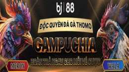 giao diện app đá gà trực tiếp 14 5