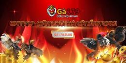 giao diện app đá gà trực tiếp 17/11