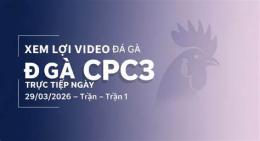 giao diện app đá gà trực tiếp 29 9 cpc3