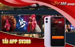 giao diện app đá gà trực tiếp 5 5 2023