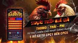 giao diện app đá gà trực tiếp 88 c