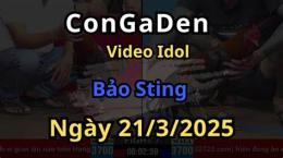 giao diện app đá gà trực tiếp bảo sting hôm nay