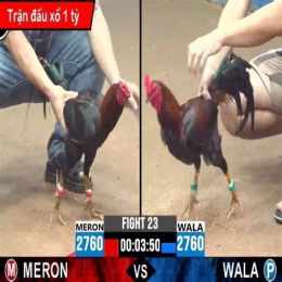 giao diện app da ga truc tiep binh luan vien tho mo
