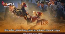 giao diện app đá gà trực tiếp c1 c2 c3 hôm nay