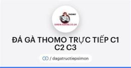 giao diện app đá gà trực tiếp c2 c1