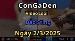 giao diện app đá gà trực tiếp c2 hôm nay bảo sting