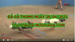 giao diện app đá gà trực tiếp chấm com 67