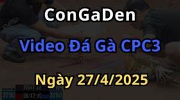 giao diện app đá gà trực tiếp cpc3 ngày 27/6