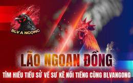 giao diện app đá gà trực tiếp gà bảo sting