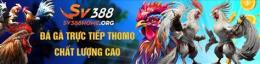 giao diện app da ga truc tiep sv388