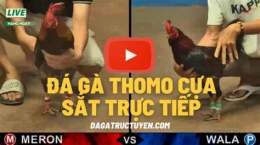 giao diện app da ga truc tiep tho mo c1