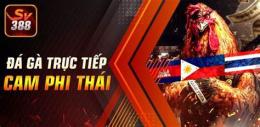 giao diện app đá gà trực tiếp thomo 789
