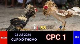 giao diện app đá gà trực tiếp thomo campuchia cpc1