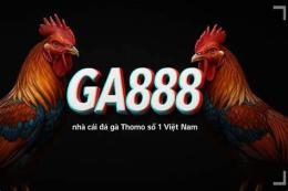 giao diện app đá gà trực tiếp thomo ngày 16