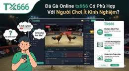 giao diện app đá gà trực tiếp thomo phu phu