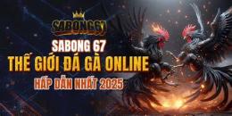 giao diện app đá gà trực tiếp thomo sabong67