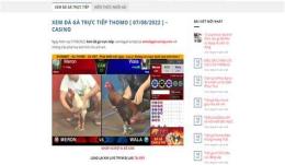 giao diện app da ga truc tiep thomo way