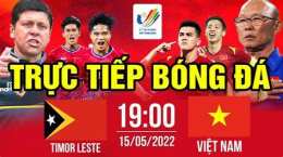 giao diện app đá gà trực tiếp timor