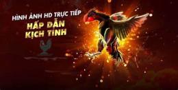 giao diện app da ga truc tiep traiga