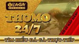 giao diện app da ga tructiep thomo