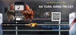 giao diện app đá gà việt nam trực tiếp