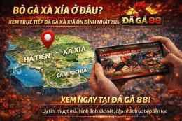 giao diện app đá gà xà xía hôm qua