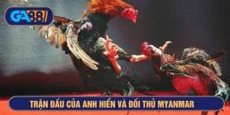 giao diện app đá gà xổ 5 tỷ
