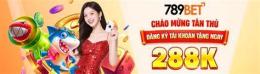 giao diện app đăng ký đá gà 789