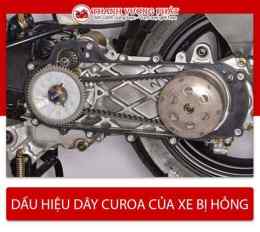 giao diện app dây curoa xe tay ga bị đứt
