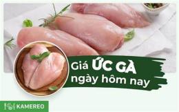 giao diện app gà đá bao nhiêu tiền 1kg